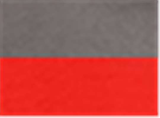Swatch for Dark Grey/ Red