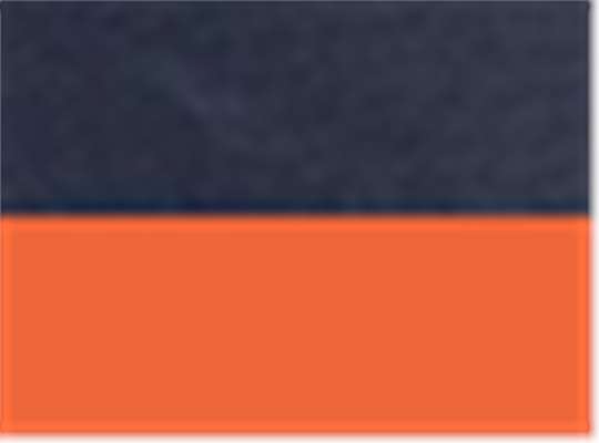 Swatch for Navy/ Orange