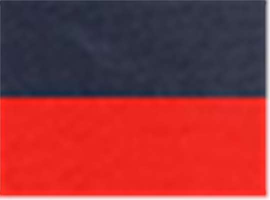 Swatch for Navy/ Red