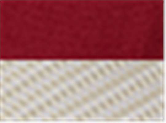 Swatch for Cardinal/ Khaki