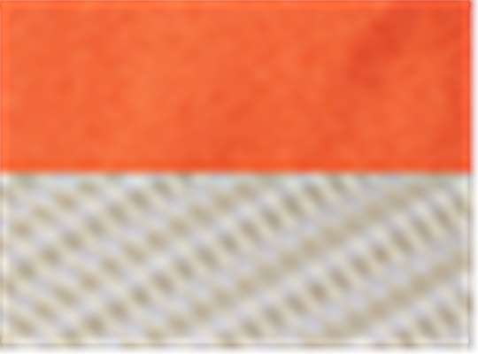 Swatch for Orange/ Khaki
