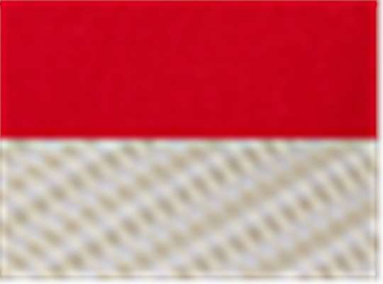 Swatch for Red/ Khaki