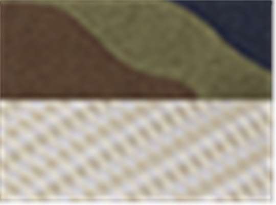 Swatch for Woodland/ Khaki