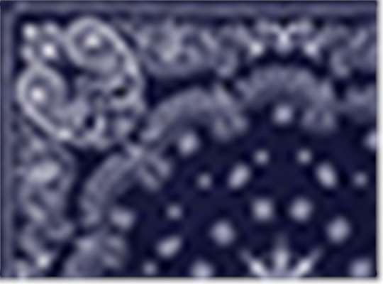 Swatch for Navy Paisley
