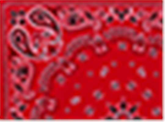 Swatch for Red Paisley