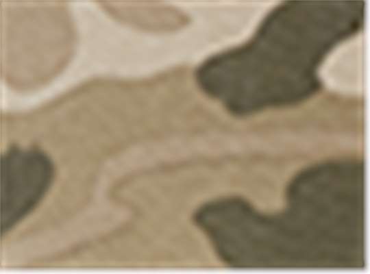 Swatch for Tan Camo