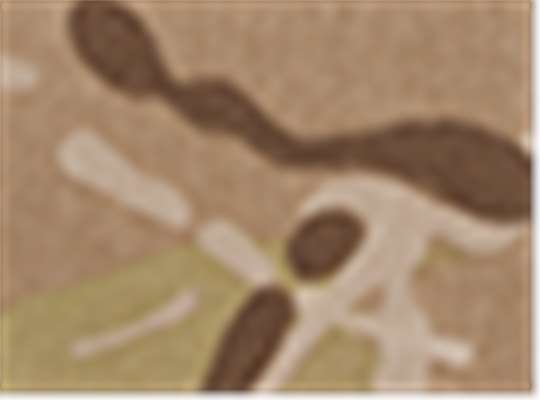 Swatch for Multicam Arid