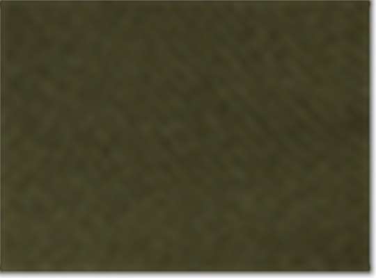 Swatch for Olive Night