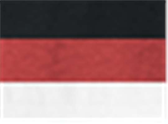 Swatch for Black/ Red/ White
