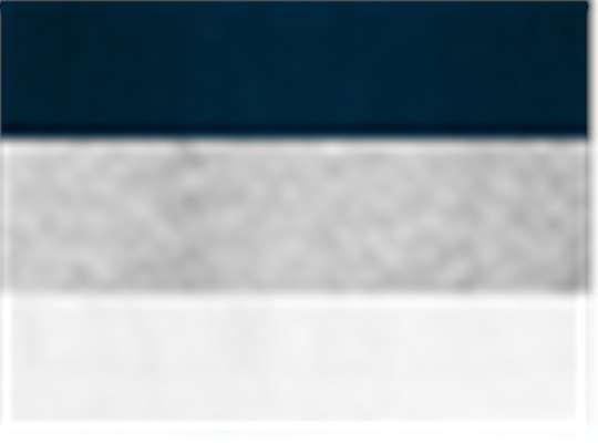 Swatch for Navy/ Oxford/ White
