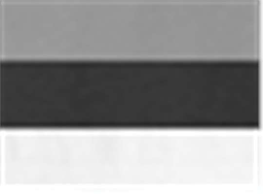 Swatch for Oxford/ Black/ White