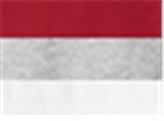 Swatch for Red/ Oxford/ White