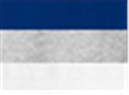 Swatch for Royal/ Oxford/ White