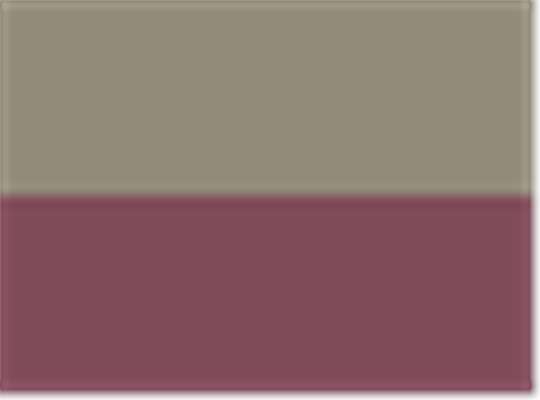 Swatch for Khaki/ Burgundy
