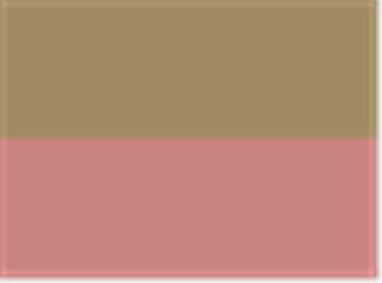 Swatch for Khaki/ Coral