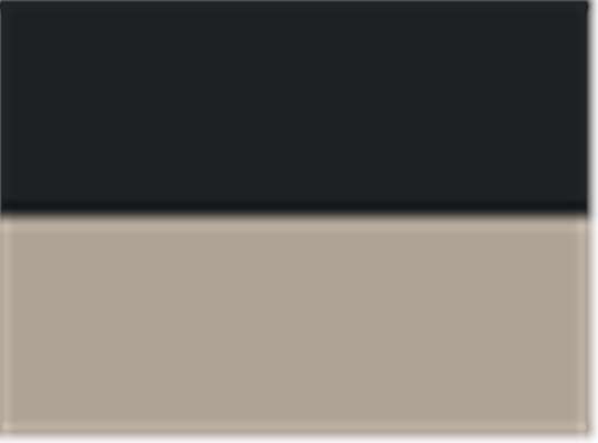 Swatch for Black/ Tan