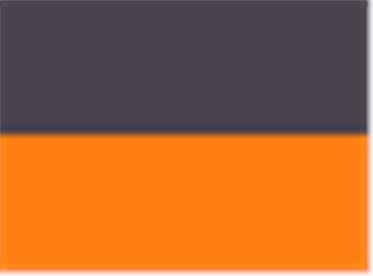 Swatch for Black/ Neon Orange