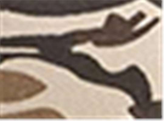 Swatch for Desert Camo