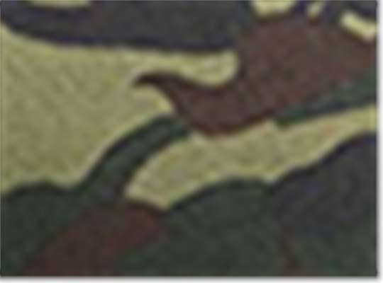 Swatch for Forest Camo