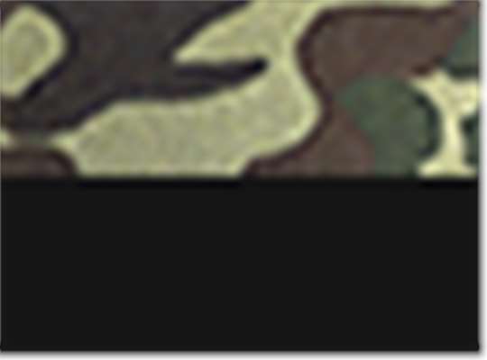 Swatch for Forest Camo/ Black