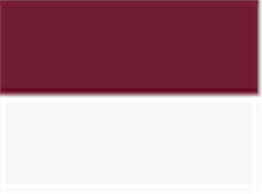 Swatch for Maroon/ White