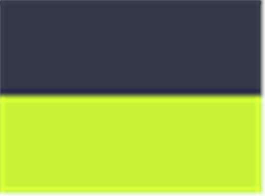 Swatch for Navy/ Neon Yellow
