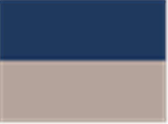 Swatch for Navy/ Tan