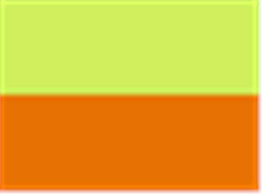 Swatch for Neon Yellow/ Neon Orange