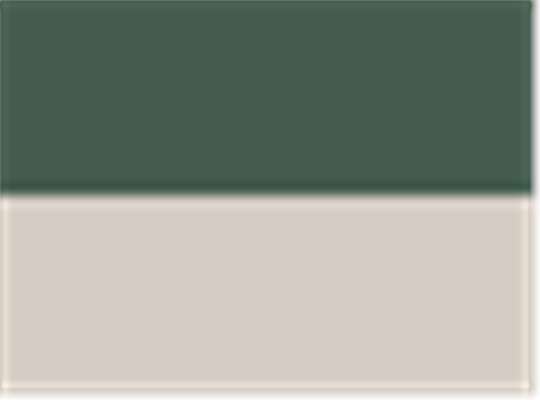 Swatch for Olive/ Stone