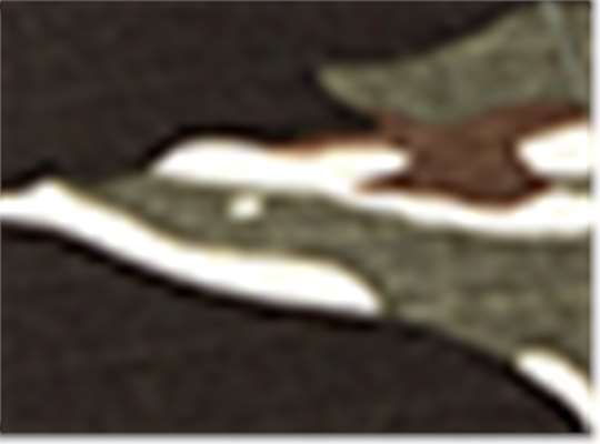 Swatch for Ripstop Tiger Camo