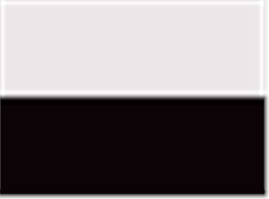 Swatch for White/ Black