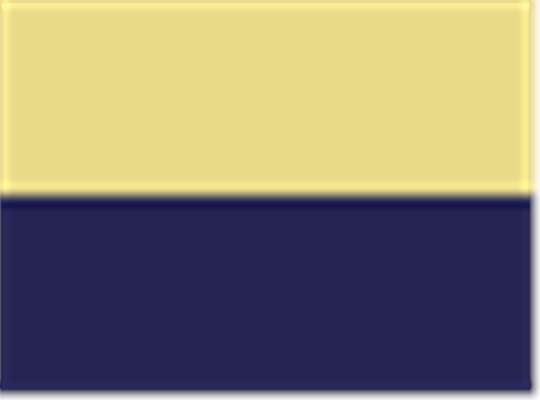 Swatch for Yellow/ Navy