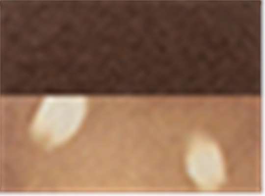Swatch for Chocolate/ Fawn