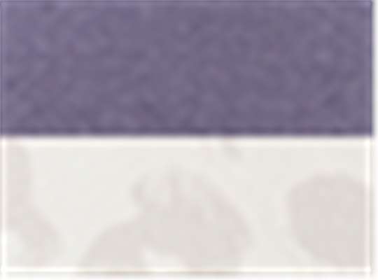 Swatch for Violet/ Snow Leopard