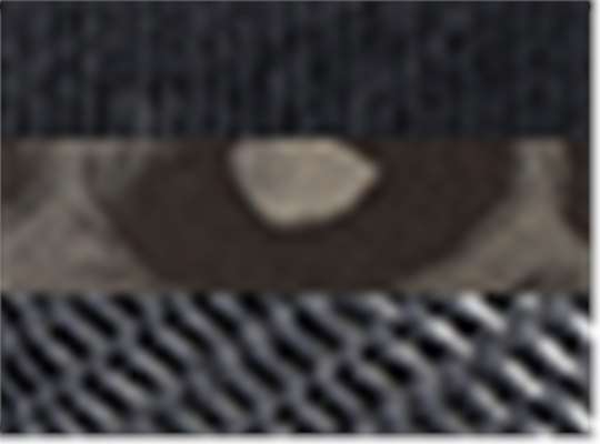 Swatch for Black / Black Leopard/ Black