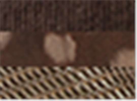 Swatch for Chocolate/ Tonal Fawn/ Chocolate