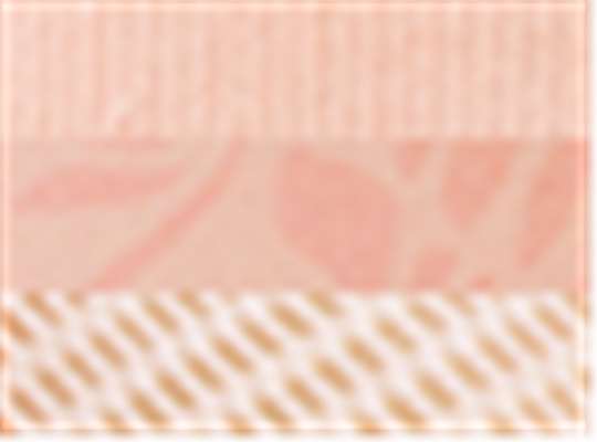 Swatch for Pink Sorbet/ Floral/ Pink Sorbet