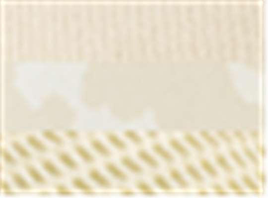 Swatch for Vanilla/ Tonal Longhorn/ Vanilla