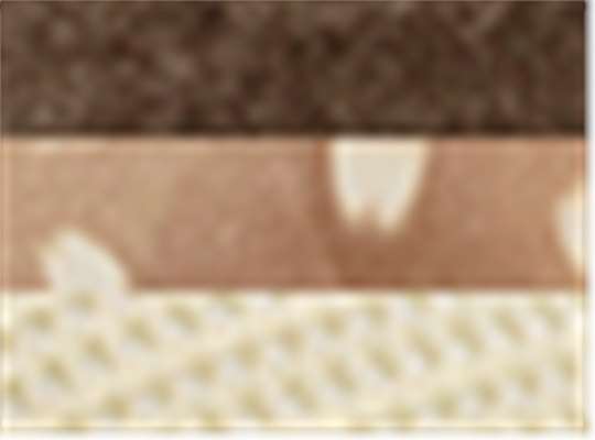 Swatch for Chocolate/ Fawn/ Khaki