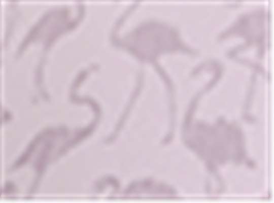 Swatch for Flamingos Pink