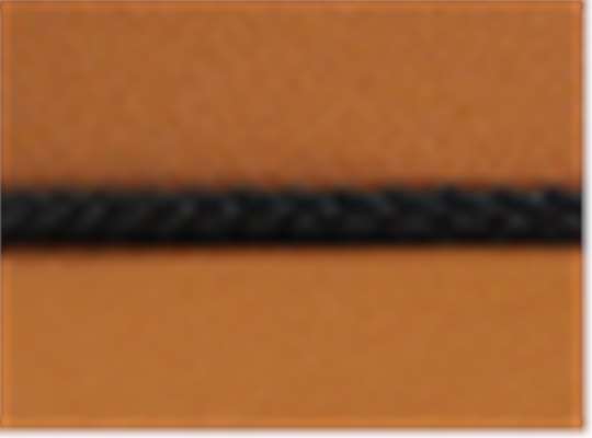 Swatch for Buckthorn Brown/ Black