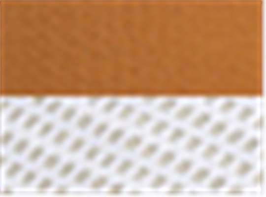 Swatch for Buckthorn Brown/ White