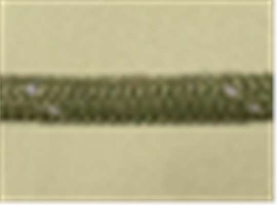 Swatch for Light Sage