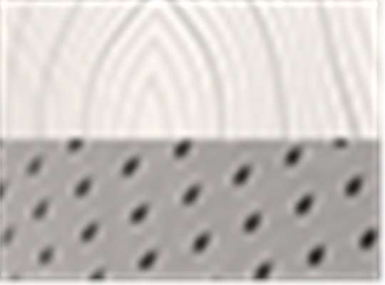 Swatch for White Grey Topo