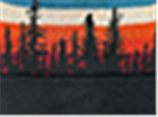 Swatch for Lodgepole/ Black