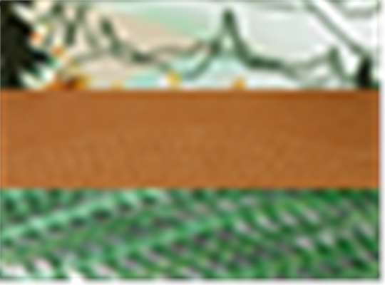Swatch for Explorer/ Brown
