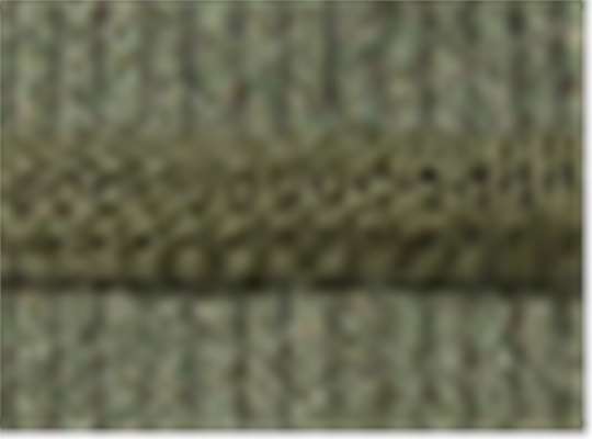 Swatch for Sage Corduroy