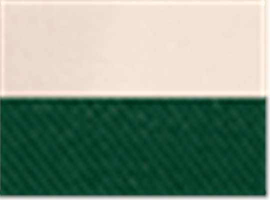Swatch for Natural/ Forest Green