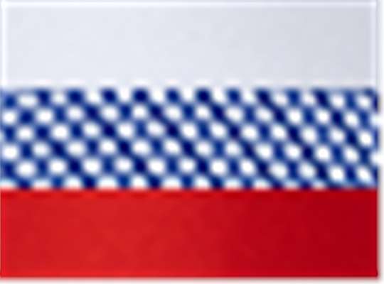 Swatch for White/ Royal/ Red