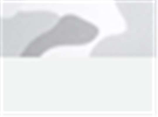 Swatch for White Camo/ White